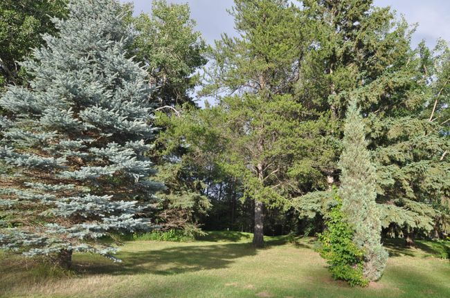 40110 Us 71, House other with 3 bedrooms, 3 bathrooms and null parking in Laporte MN | Image 32