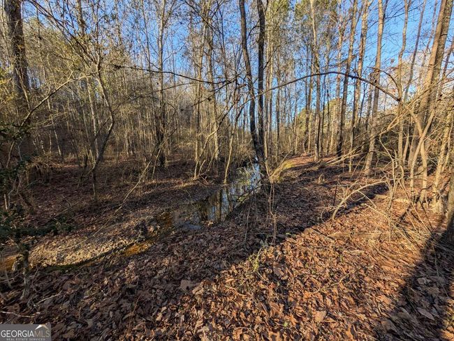 0 Ridgeway Rd, Home with 0 bedrooms, 0 bathrooms and null parking in Trion GA | Image 21
