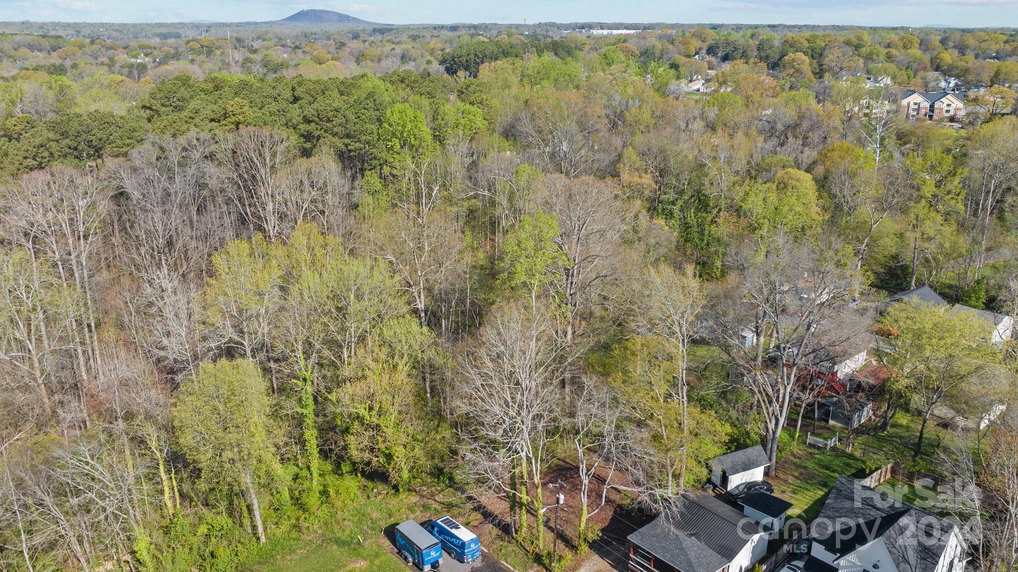Land in Belmont 4