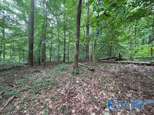 124 Cedar Ln, Attalla, AL, 35954-8937 | Card Image
