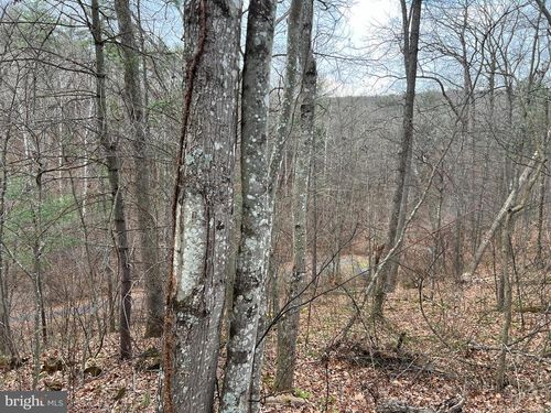 0 Crab Apple Rd, MOUNT JACKSON, VA, 22842 | Card Image