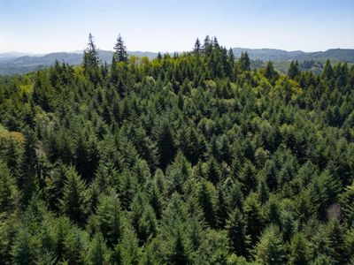 Timber on property Oregon Upstream Timbe | Image 1