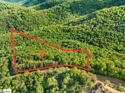 214 Craggy Rock Ln, Landrum, SC, 29356-3147 | Card Image