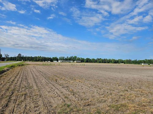 74.03 Acres - Highway 917, Nichols, SC, 29581 | Card Image