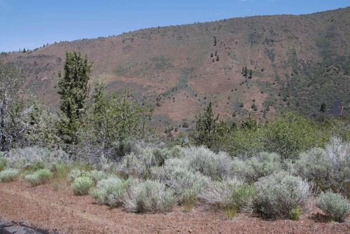 Lot 38 Peregrine Heights, Klamath Falls, OR, 97601 | Card Image