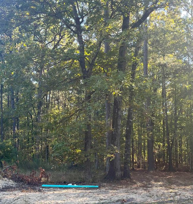 6620 Carl Moren Rd, House other with 4 bedrooms, 2 bathrooms and null parking in Hensley AR | Image 4