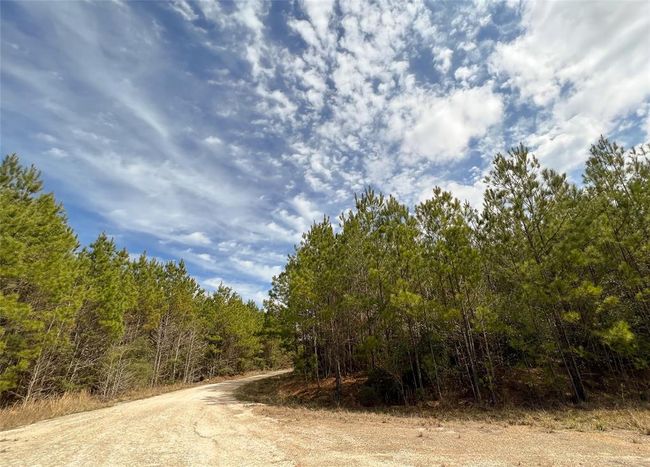 7 Fm 1746, Home with 0 bedrooms, 0 bathrooms and null parking in Spurger TX | Image 9
