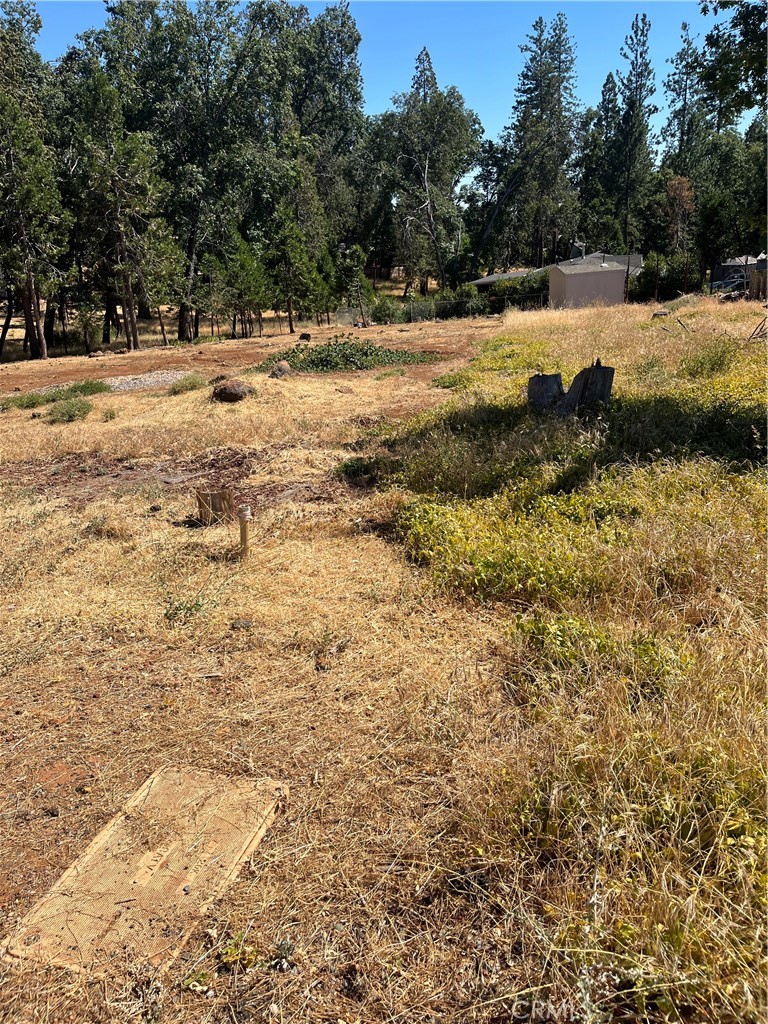 Land in Magalia 3