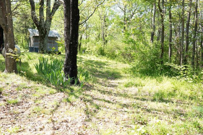 103 E Fair St, House other with 3 bedrooms, 2 bathrooms and null parking in Marshall AR | Image 20