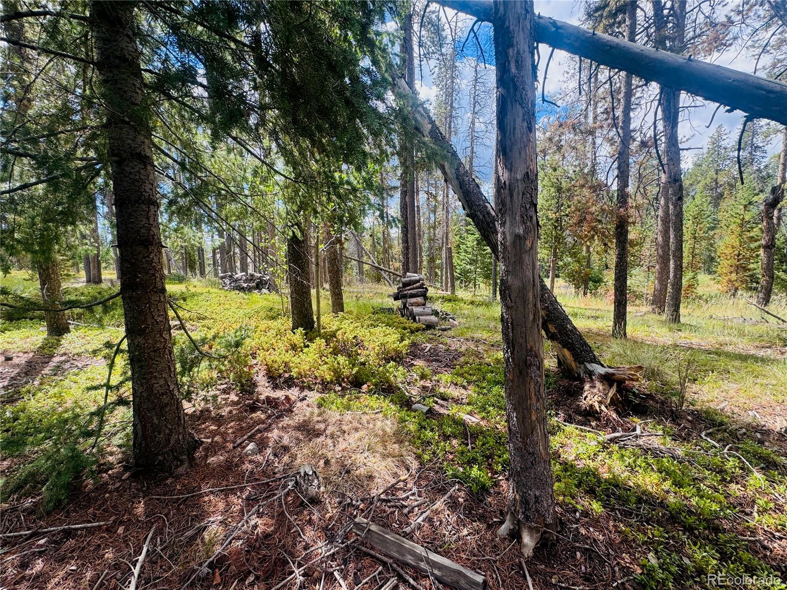 Land in Conifer 5