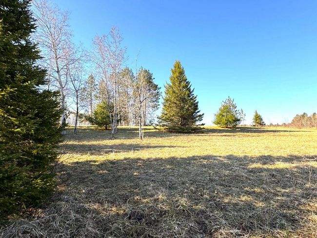 4052 S River Rd, Home with 0 bedrooms, 0 bathrooms and null parking in Cheboygan MI | Image 11