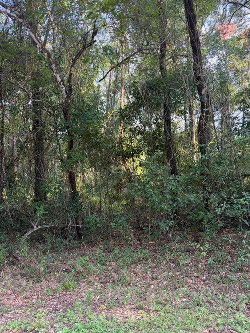Vacant Barnes Road, Monticello, FL, 32344 | Card Image