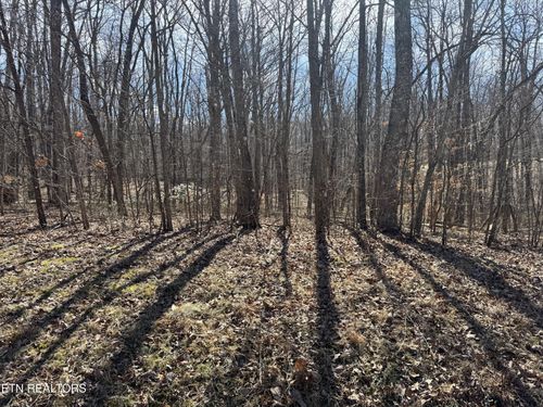 0 Davidson Dr, Monterey, TN, 38574 | Card Image
