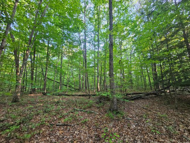 3 Woodfern Lane, Home with 0 bedrooms, 0 bathrooms and null parking in Coalmont TN | Image 11