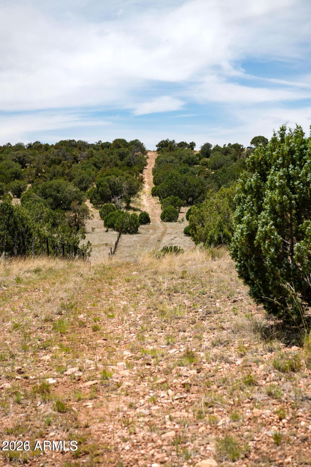 Land in Seligman 5