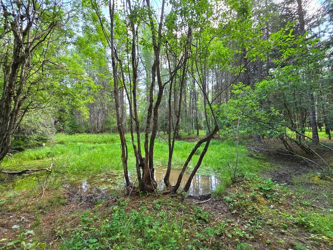 22 Pinewoods Dr, House other with 2 bedrooms, 2 bathrooms and null parking in Trout Creek MT | Image 56