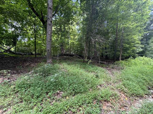 0 Old Stage Rd, Dickson, TN, 37055 | Card Image