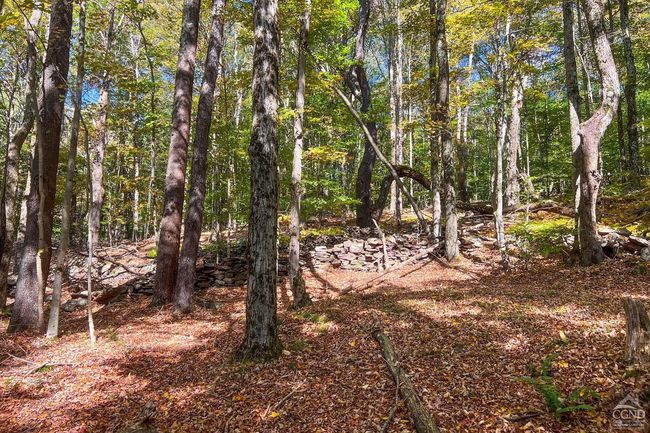 11441184 Hollister Hill Rd, House other with 6 bedrooms, 5 bathrooms and null parking in Delhi NY | Image 91