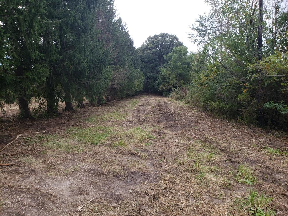 Land in Homer Glen 5