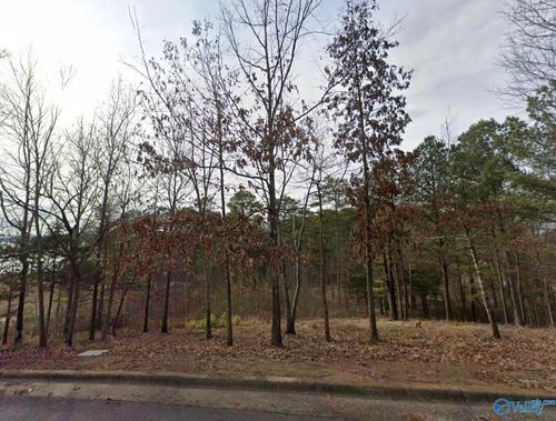Lot 35 Harbor Ridge Rd, Guntersville, AL, 35976 | Card Image