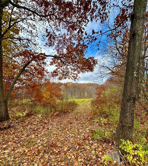 0 Hebron Rd, West Rupert, VT, 05776 | Card Image