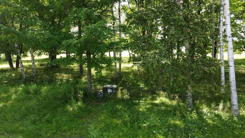 Lot 13 Hunter Circle, ACKLEY, WI, 54409 | Card Image