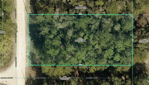 R01-221-17-3357-5520-0170 Cedarwood Ave, WEEKI WACHEE, FL, 34614 | Card Image