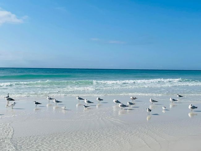 Beachtime | Image 35
