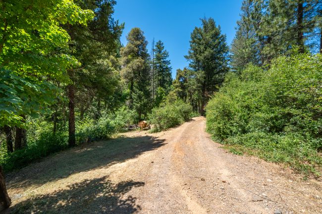 0000 E Fork Rd, Home with 0 bedrooms, 0 bathrooms and null parking in French Gulch CA | Image 17