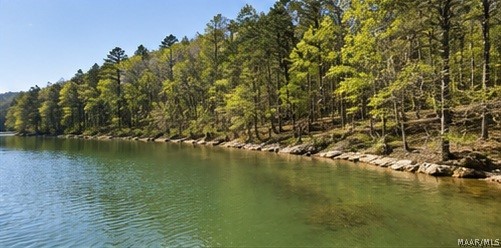 Land in Double Springs 2