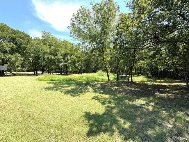 View of grassy yard | Image 5