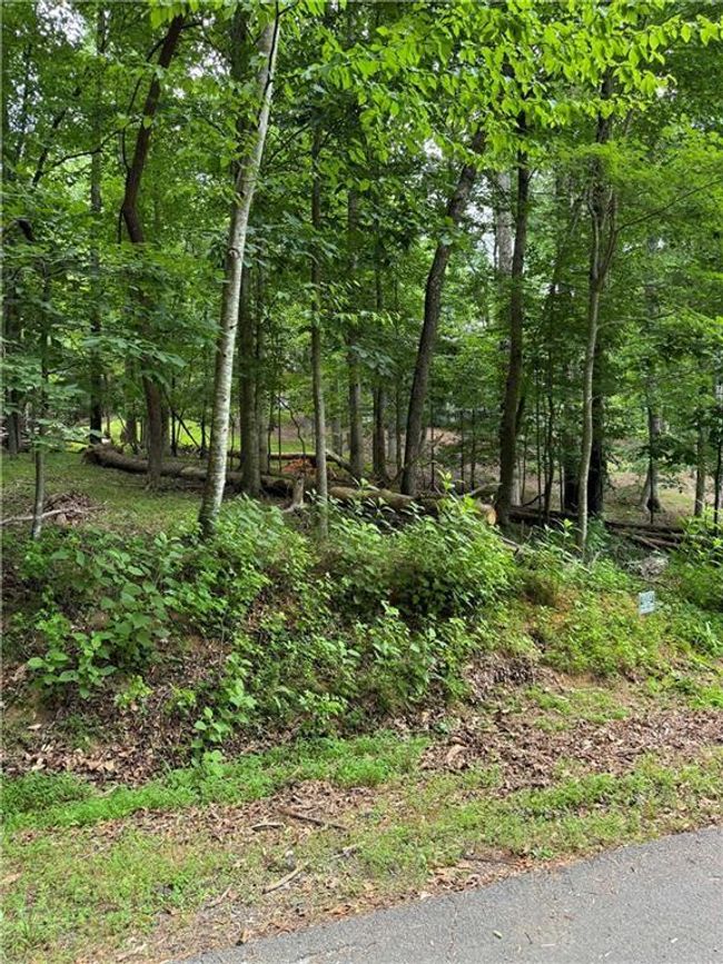 830 N Duffer Dr, Home with 0 bedrooms, 0 bathrooms and null parking in Jasper GA | Image 13