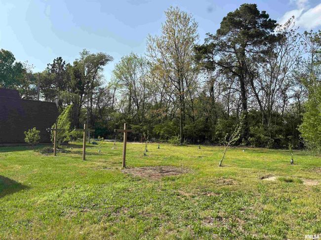 286 Kochs Ln, House other with 2 bedrooms, 2 bathrooms and null parking in Meredosia IL | Image 13