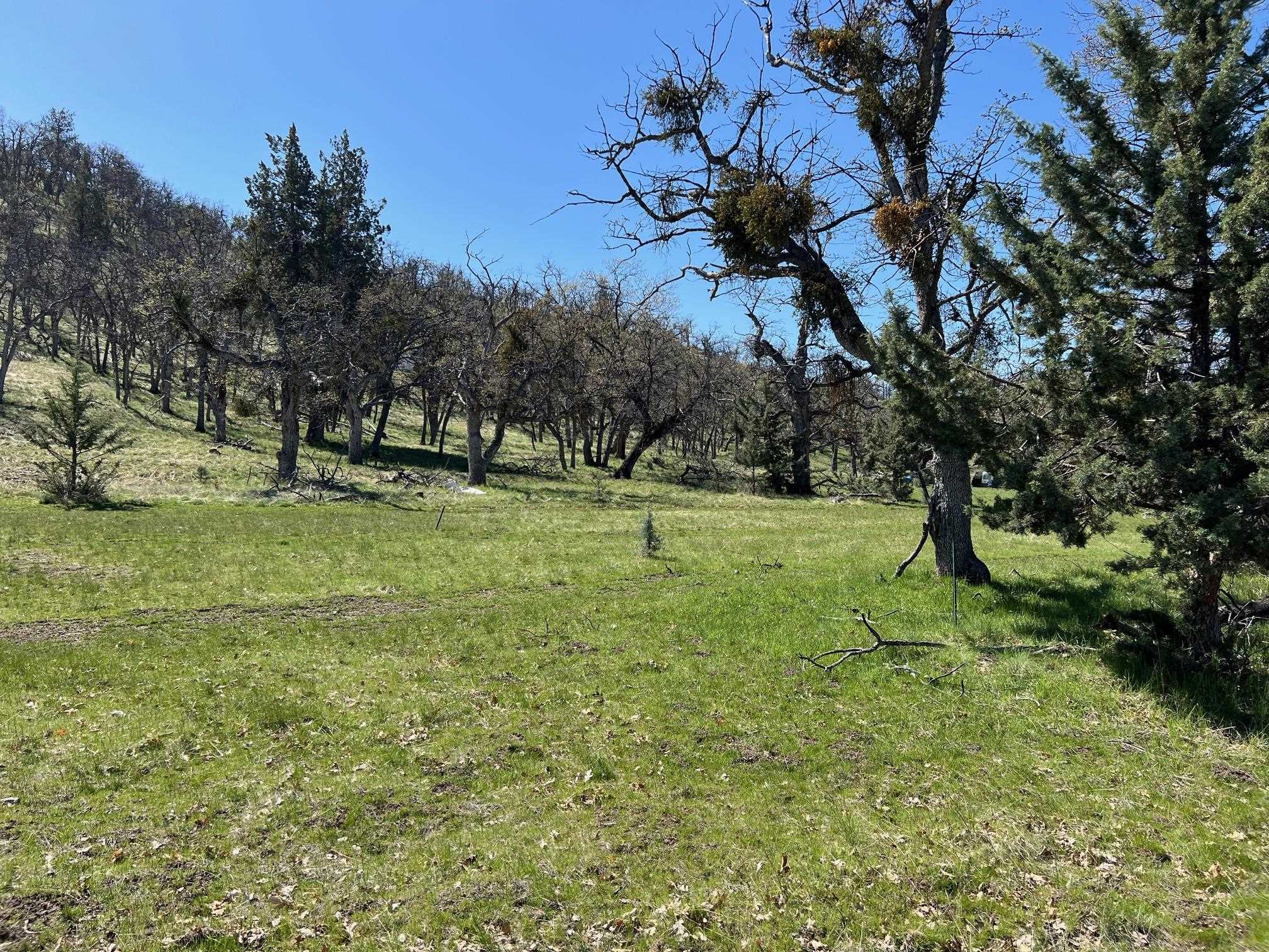 Land in Montague