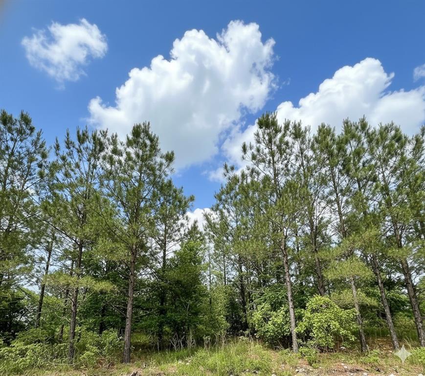 Land in Broken Bow