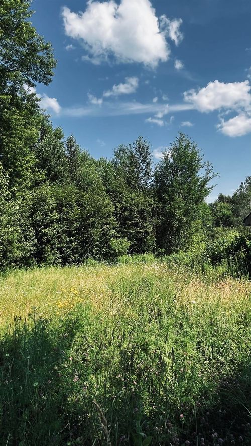 186 Pine St, North Troy, VT, 05859-9303 | Card Image