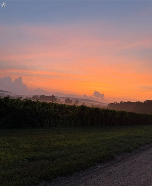 0 Straits Rd, Hatfield, MA, 01038 | Card Image