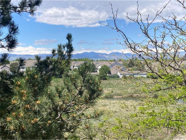 UNIT-202 - 8405 Pebble Creek Way, House attached with 3 bedrooms, 2 bathrooms and null parking in Highlands Ranch CO | Image 23
