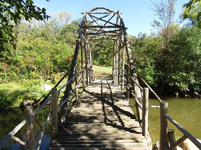 Bridge | Image 7