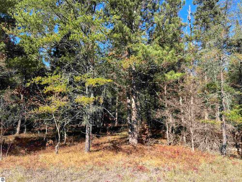 00 E North Down River Rd, Grayling, MI, 49738 | Card Image