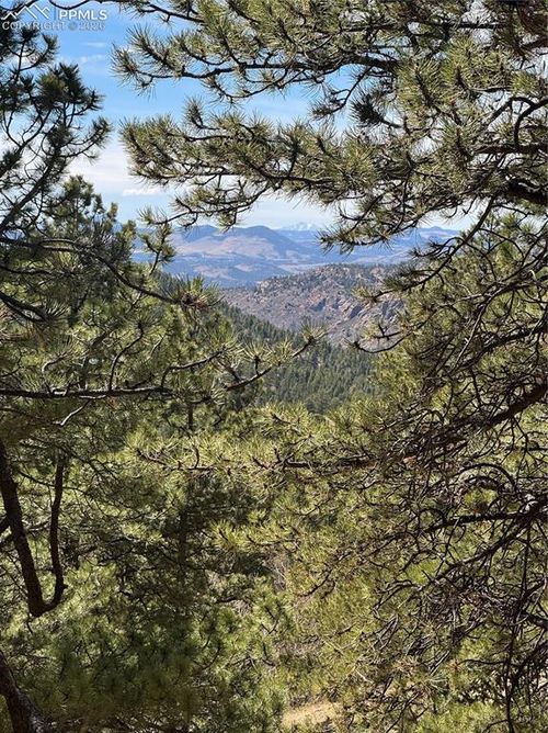 288 Troy Dr, Cripple Creek, CO, 80813-9595 | Card Image