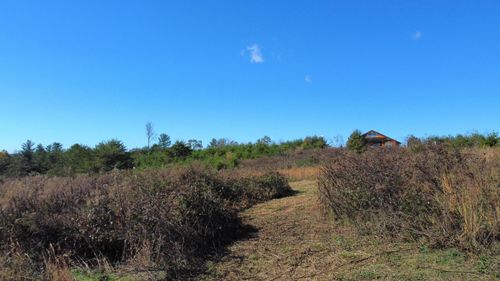 73 Shawnee Run, Rogers, KY, 41365 | Card Image