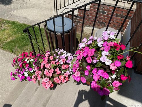 a-68-37 138th St, Flushing, NY, 11367-1645 | Card Image