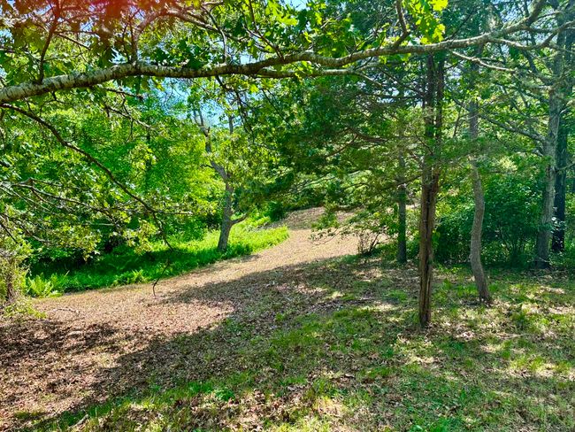 0 Jeffers Way, Home with 0 bedrooms, 0 bathrooms and null parking in Chilmark MA | Image 5