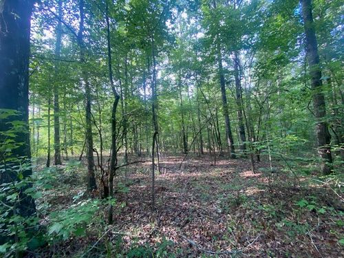 0 Windwood Dr, Lanett, AL, 36863 | Card Image