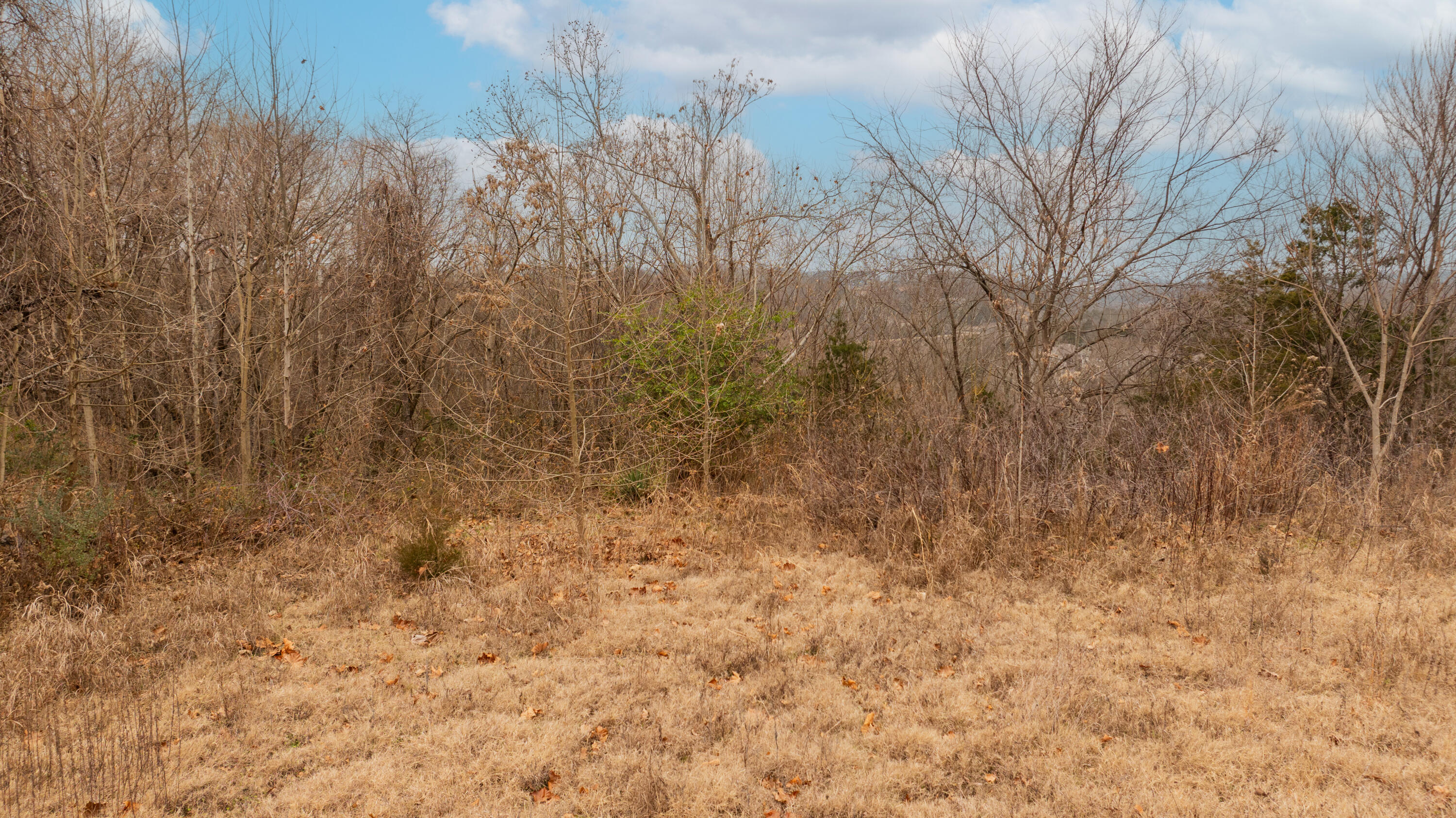 Land in Branson 5