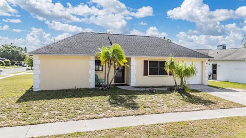 1338 Persimmon Dr, HOLIDAY, FL, 34691-6717 | Card Image