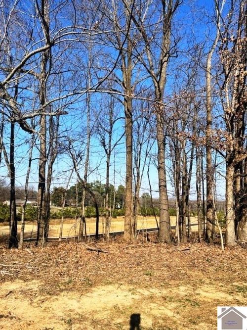 Lot 86 Forest Ridge Drive, Paducah, KY, 42003 | Card Image
