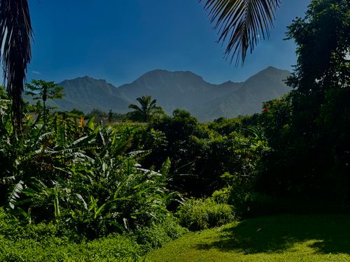 5339 Honoiki Rd, PRINCEVILLE, HI, 96722-5101 | Card Image