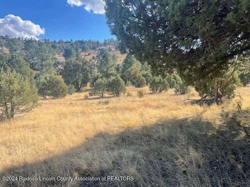 112 Antler Dr, Alto, NM, 88312-8032 | Card Image